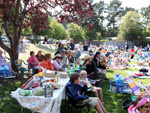 Belevdere Concerts-in-the-Park