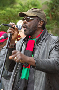 Belvedere Concerts in the Park